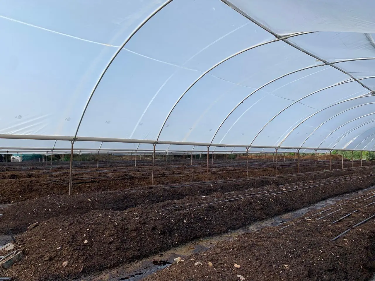Camas de lombricomposta bajo invernadero en las instalaciones de BioAgro, Nombre de Dios, Durango