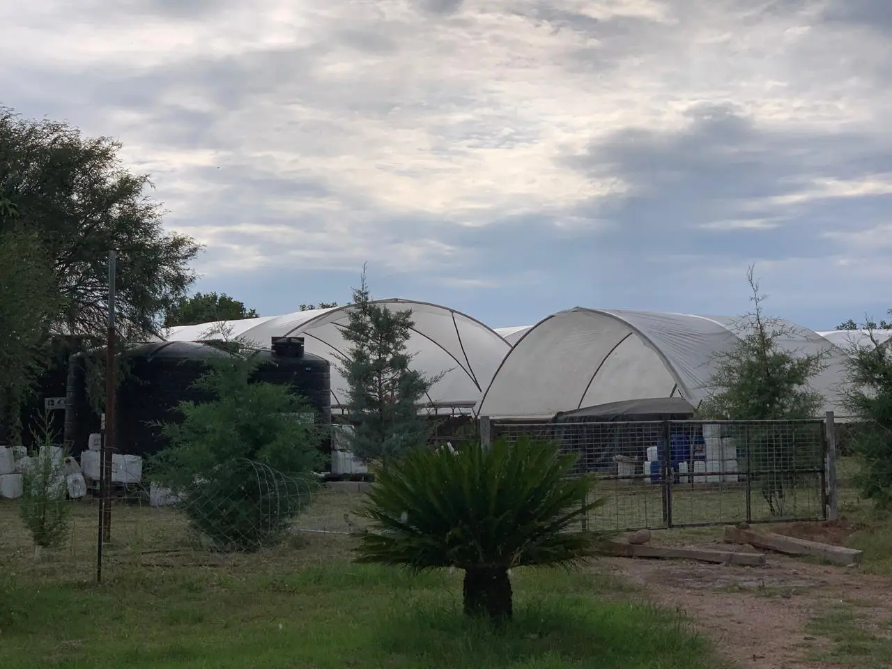 Invernaderos y área de producción de BioAgro en Nombre de Dios, Durango